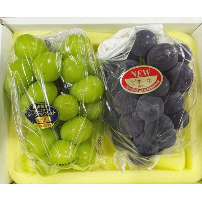 【2026年発送】岡山県産 ニュー ピオーネ ・シャインマスカット『晴王』計2房(各470g以上)