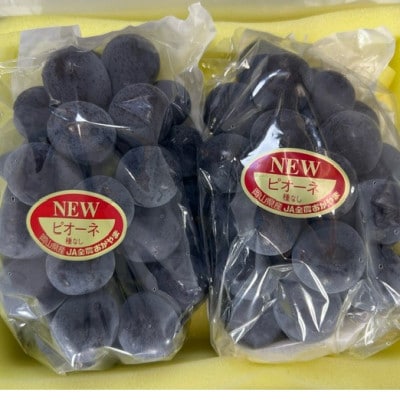 【2026年発送】岡山県産 ニュー ピオーネ 2房 (約940g)化粧箱入り