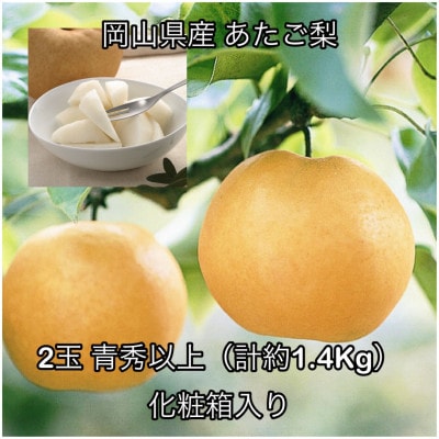 岡山県産 あたご梨 2玉 青秀以上 (約1.4kg )化粧箱入り