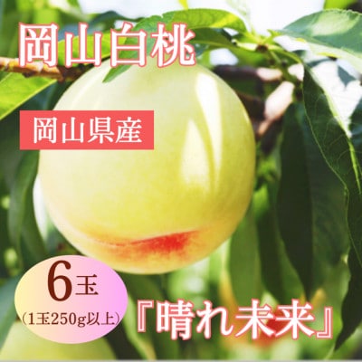 【2027年発送】岡山県産 岡山白桃 『晴れ未来』(1玉250g以上)6玉　化粧箱入り