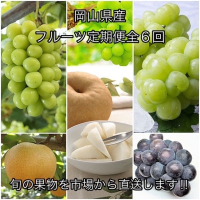 【発送月固定定期便】岡山県産 フルーツ定期便全6回