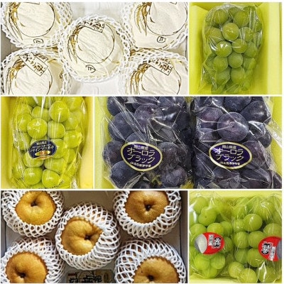 【発送月固定定期便】岡山県産 フルーツ定期便全6回