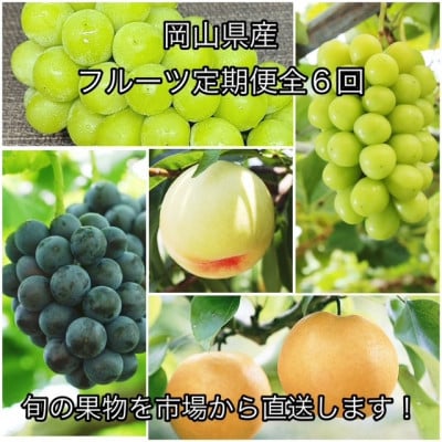 【発送月固定定期便】岡山県産 フルーツ定期便全6回