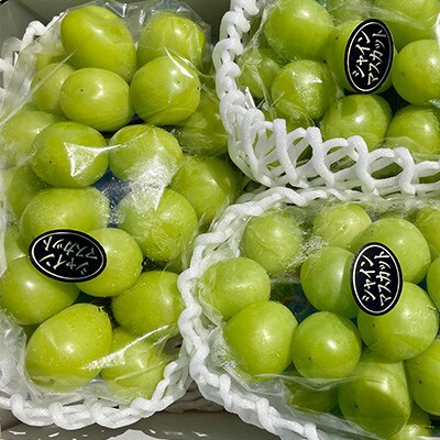 【2026年9月末より発送】大粒シャインマスカット 約2kg(2～4房)