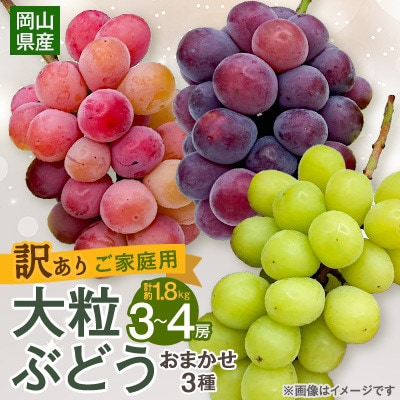 【2026年9月末より発送】訳あり大粒ぶどう3種セット(シャインマスカット・ピオーネ等3種おまかせ)