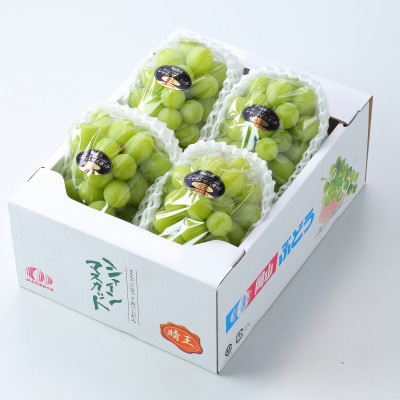 岡山県産 2026年発送 シャインマスカット 晴王 約2kg 3～6房 種無し