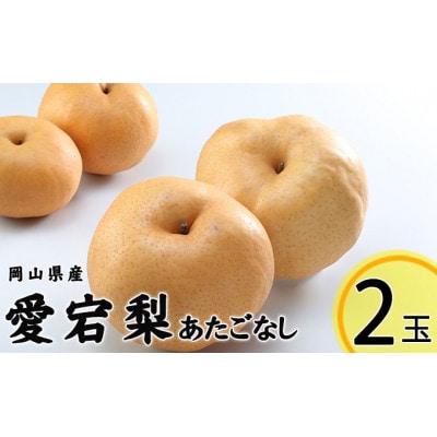 岡山県産 あたご梨 2玉 合計約1.8kg