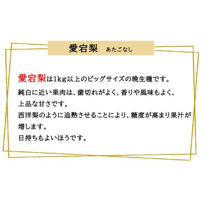 岡山県産 あたご梨 3～6玉 合計約4kg
