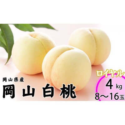 岡山白桃 2027年発送 ロイヤル 約4kg(8～16玉)