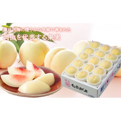岡山白桃 2027年発送 ロイヤル 約4kg(8～16玉)