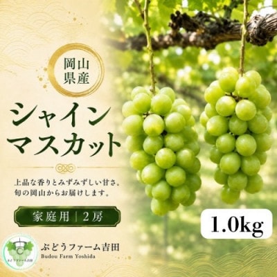 【家庭用】岡山県産シャインマスカット　計1.0kg(2房)