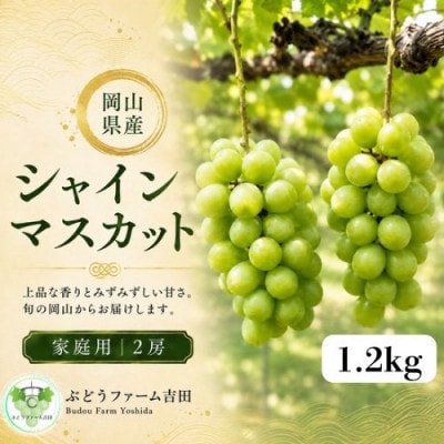【家庭用】岡山県産シャインマスカット1.2kg(2房)