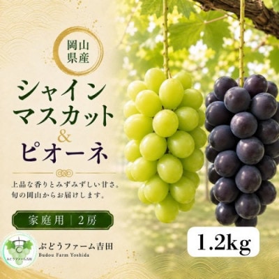 【家庭用】岡山県産葡萄詰め合わせ　計1.2kg(2房)
