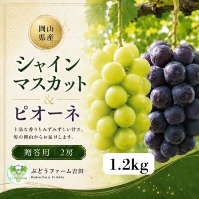 【贈答用】岡山県産葡萄詰め合わせ　計1.2kg(2房)