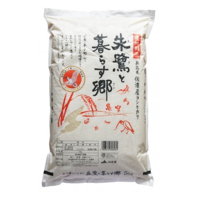 【発送月固定定期便】先行予約　朱鷺と暮らす郷　佐渡産コシヒカリ　5Kg全3回