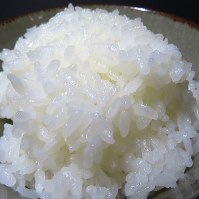 【令和4年産】　佐渡産こしひかり1合(150g)×20袋  真空包装
