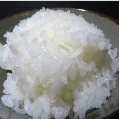 【令和5年産】　佐渡産こしひかり　真空包装1kg×4袋