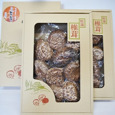 肉厚!佐渡産高級どんこしいたけ 2箱セット(120g×2袋)