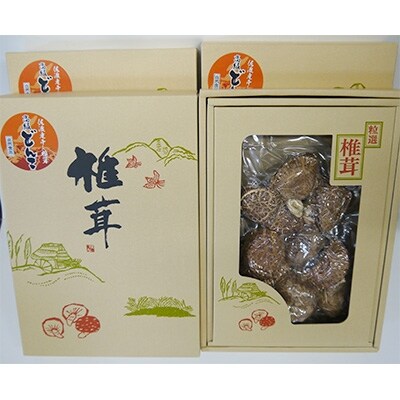 肉厚!佐渡産高級どんこしいたけ 4箱セット