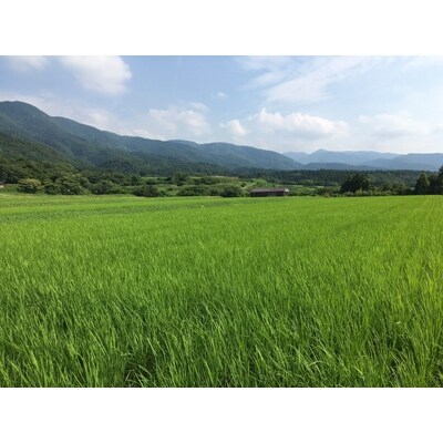 佐渡産こしひかり2kg&ワダコメのかりんと6袋セット
