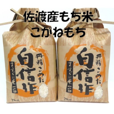 【令和4年産】佐渡産もち米　こがねもち　2kg×2袋