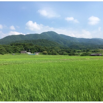 【令和6年産】佐渡高千産コシヒカリ 3kg×3袋(精米) + しそ味噌 100gセット