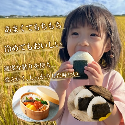 【令和7年産】佐渡高千産コシヒカリ 真空包装1kg×4袋(精米)