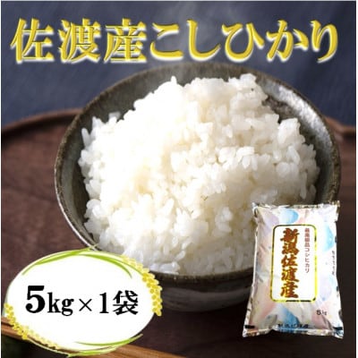 【令和6年産】佐渡高千産コシヒカリ5kg(精米)