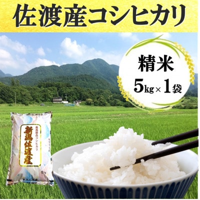 【令和7年産】佐渡高千産コシヒカリ5kg(精米)