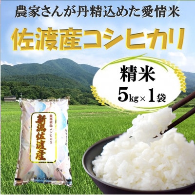【令和7年産】佐渡高千産コシヒカリ5kg(精米)