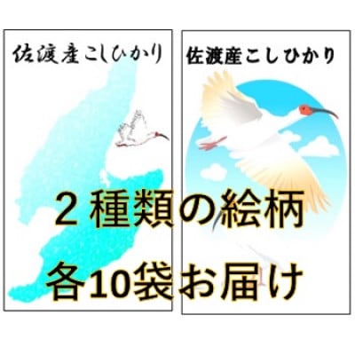 【令和7年産】佐渡高千産コシヒカリ 精米 150g×20袋　真空包装