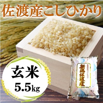 令和6年産の玄米コシヒカリ30キロ （令和6年産】佐渡高千産