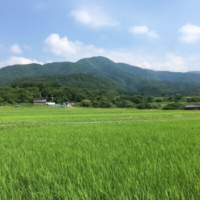 佐渡高千産コシヒカリ　5kg×2袋　計10kg(精米)