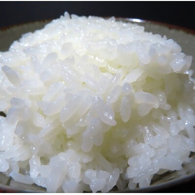 佐渡高千産コシヒカリ　5kg×2袋　計10kg(精米)