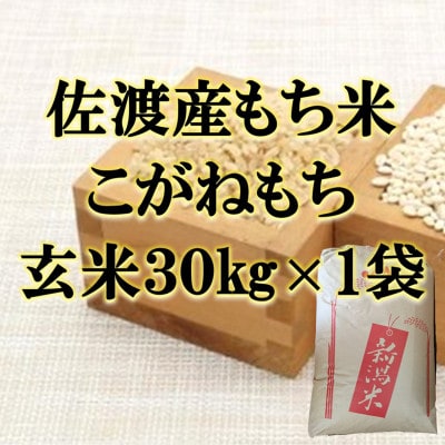 【令和7年産】佐渡産もち米 こがねもち 玄米30kg×1袋