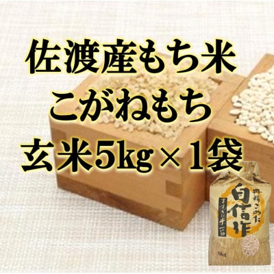 【令和7年産】佐渡産もち米 こがねもち 玄米5kg×1袋