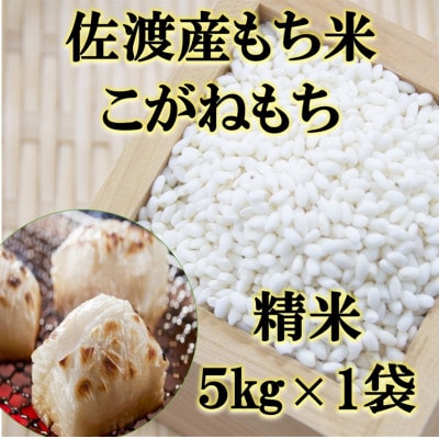 【令和7年産】佐渡産もち米 こがねもち 精米 5kg×1袋