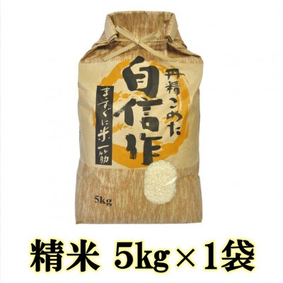 【令和7年産】佐渡産もち米 こがねもち 精米 5kg×1袋