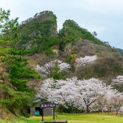 佐渡の酒　佐渡五醸　佐渡金山酵母　720ml×5本