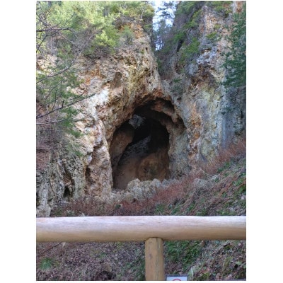 佐渡の酒　佐渡五醸　佐渡金山酵母　720ml×5本