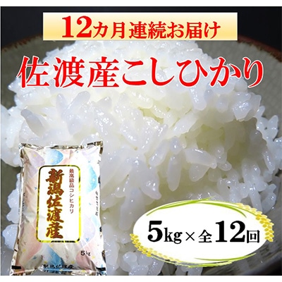 【毎月定期便】佐渡産こしひかり 5kg(精米)全12回