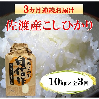 【毎月定期便】佐渡産こしひかり10kg(精米)全3回