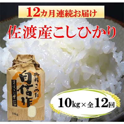 【毎月定期便】佐渡産こしひかり10kg　全12回