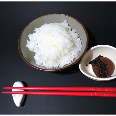 【毎月定期便】佐渡産こしひかり10kg　全12回