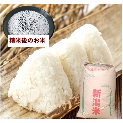 【毎月定期便】佐渡産従来コシヒカリ　精米27kg×1袋　6ヶ月連続お届け全6回