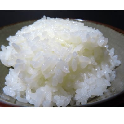【毎月定期便】佐渡産こしひかり 5kg(精米)全6回