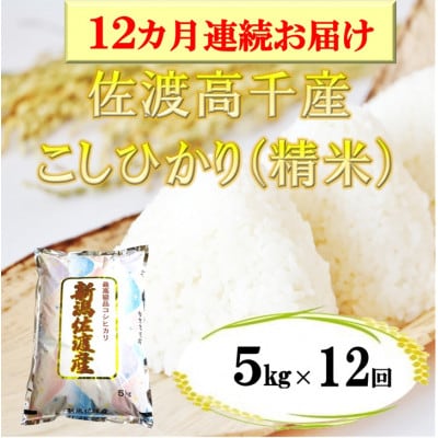 【毎月定期便】佐渡産こしひかり 5kg(精米)全12回