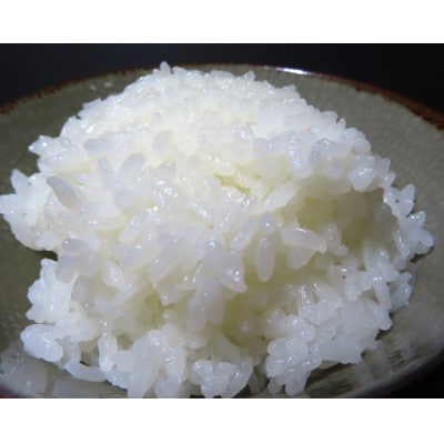 【毎月定期便】佐渡産こしひかり 5kg(精米)全12回