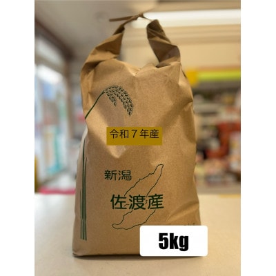 令和7年度産　佐渡山間地 戸田さんちの健康に配慮して作ったコシヒカリ5Kg(精米)