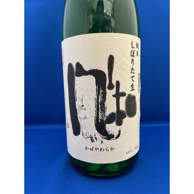 しぼりたてを味わう　金鶴純米　風和「しぼりたて生」1.8L×1本